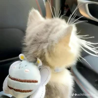 แอด