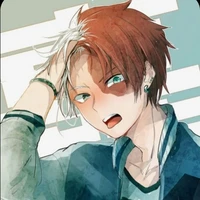 SHOTO TODOROKI~