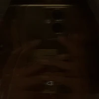 Y/N (you)