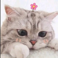 ไรท์