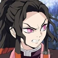 nezuko kamado (D.P)