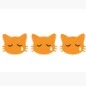 gatito