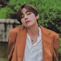 v (bear)