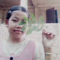 ມຸກດາ