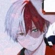 shoto todoroki 17 (O.D)