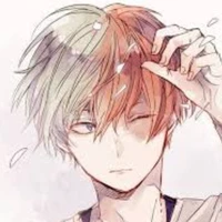 °Todoroki Shoto°