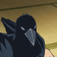 Corvo 