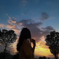 Author ✨