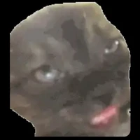 Jeje.P