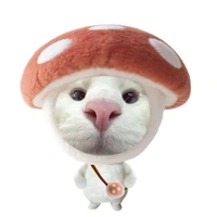 แอดเอง