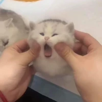 米