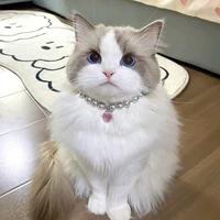 ลูกปัด