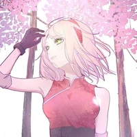 ▪︎sakura▪︎