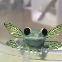 MIMI PEPETA
