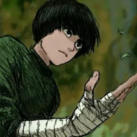 rock  lee