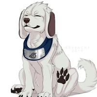 akamaru