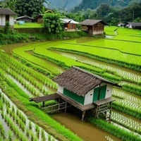 ระร