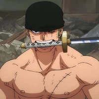 Zoro⚔️