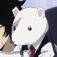 director nesu