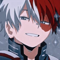 shoto todoroki 