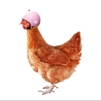 Author yang sangat Kerem