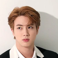 Seokjin(Jin)
