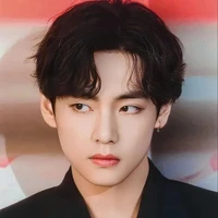 Taehyung (Rare Beta)