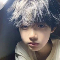 เว่ยเว่ย(น.อ)