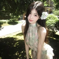 ผิงอัน (เพื่อนนอ.)