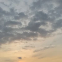 ?????