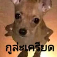 แอดเอง