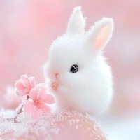 your author (⁠◍⁠•⁠ᴗ⁠•⁠◍⁠)