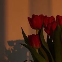 ⧼🥀⧽. ¿? .𖦹˙⟢