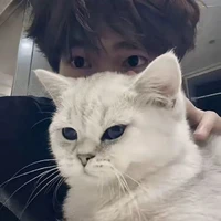 พีเจ👑