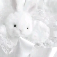 หลิน+น.อ+ร่างกระต่าย