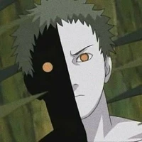 zetzu 