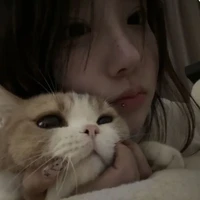 ดาว