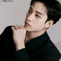 bang chan