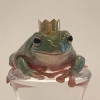 Sapo rei