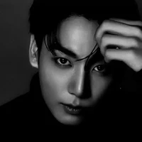 Jeon Jungkook/Pure blood engima