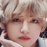 Kim/Jeon Taehyung/Pure blood omega