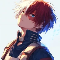 todoroki