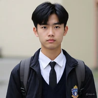 Vincent 