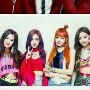 girl/blackpink -jissou