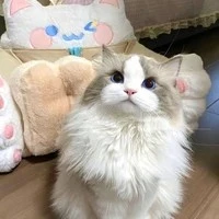 ลูน่า