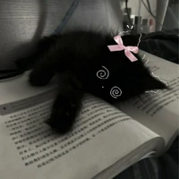 แอดเองง