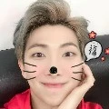 kim namjoon