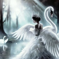 swan