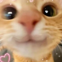 Ray