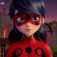 Lady bug